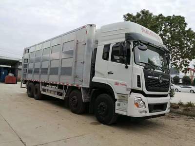 恒溫運(yùn)豬車 多層設(shè)計(jì)與吸污功能如何影響豬仔運(yùn)輸車價(jià)格？