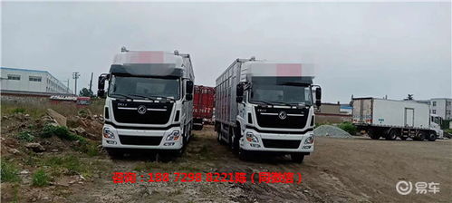 新款東風(fēng)天龍4層豬苗運(yùn)輸車 鋁合金廂體上裝價(jià)格解析與車型優(yōu)勢(shì)